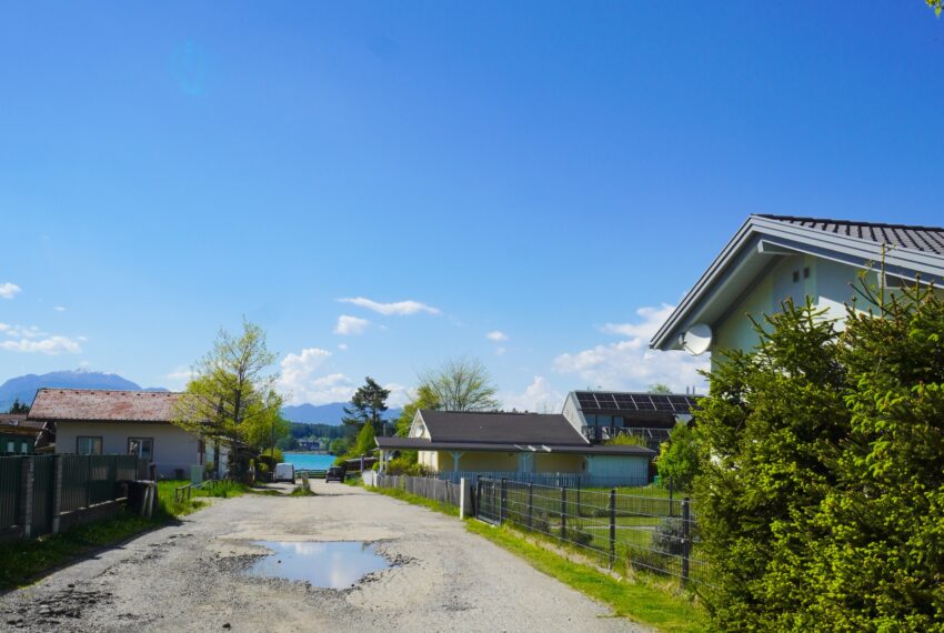 DSC07534
