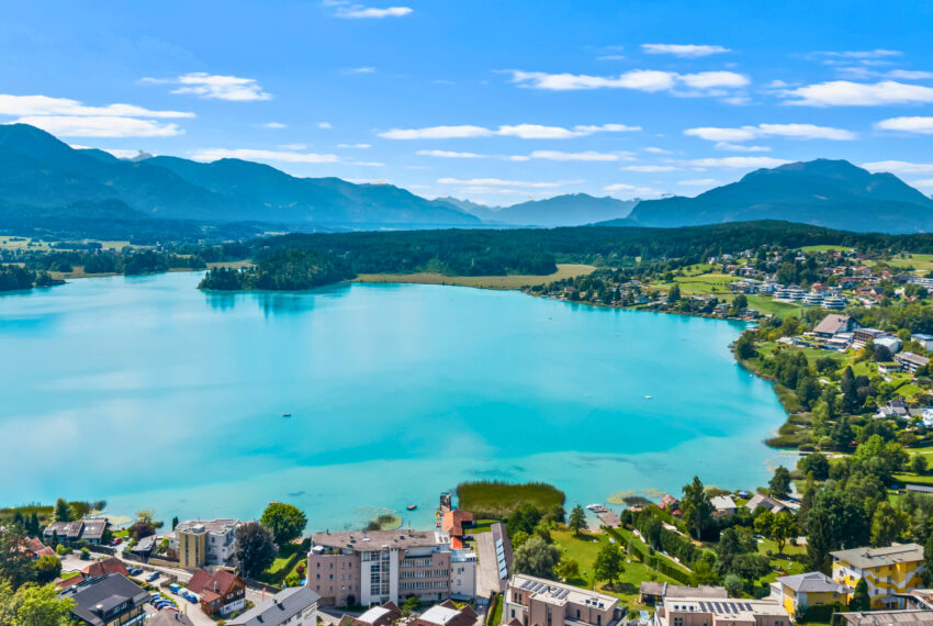 ebcb6a82-c40a-4391-b272-465eeb68bf96